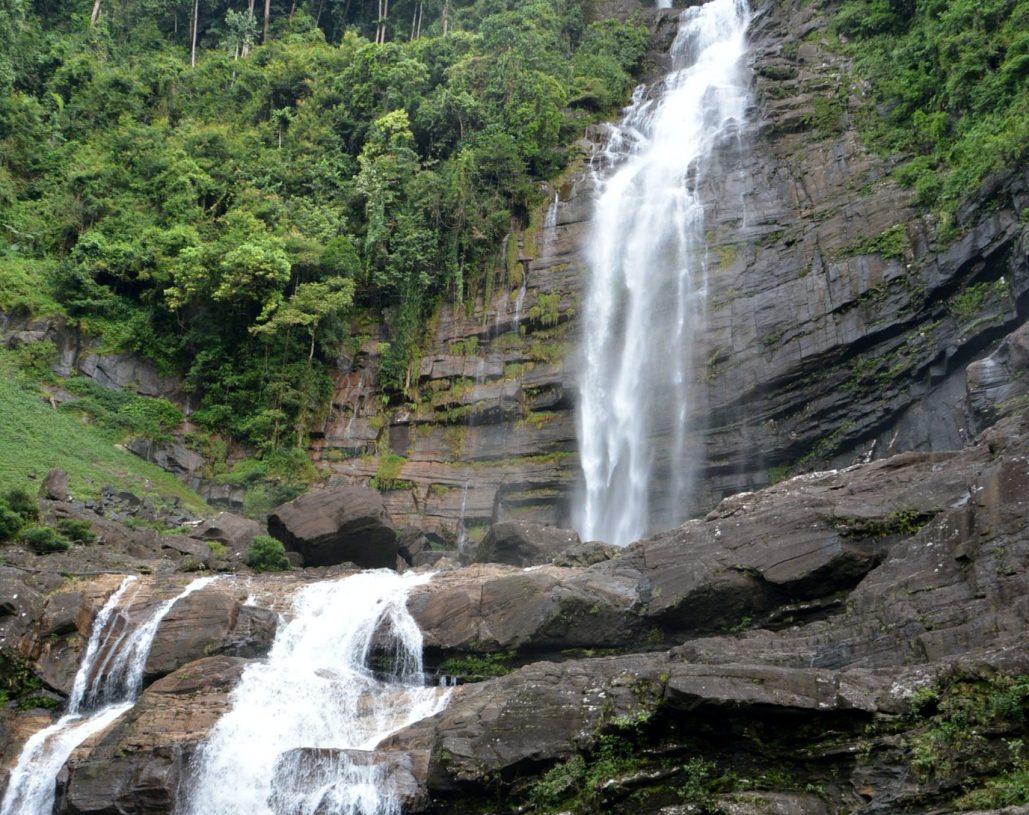 pexels-ariya-7331034